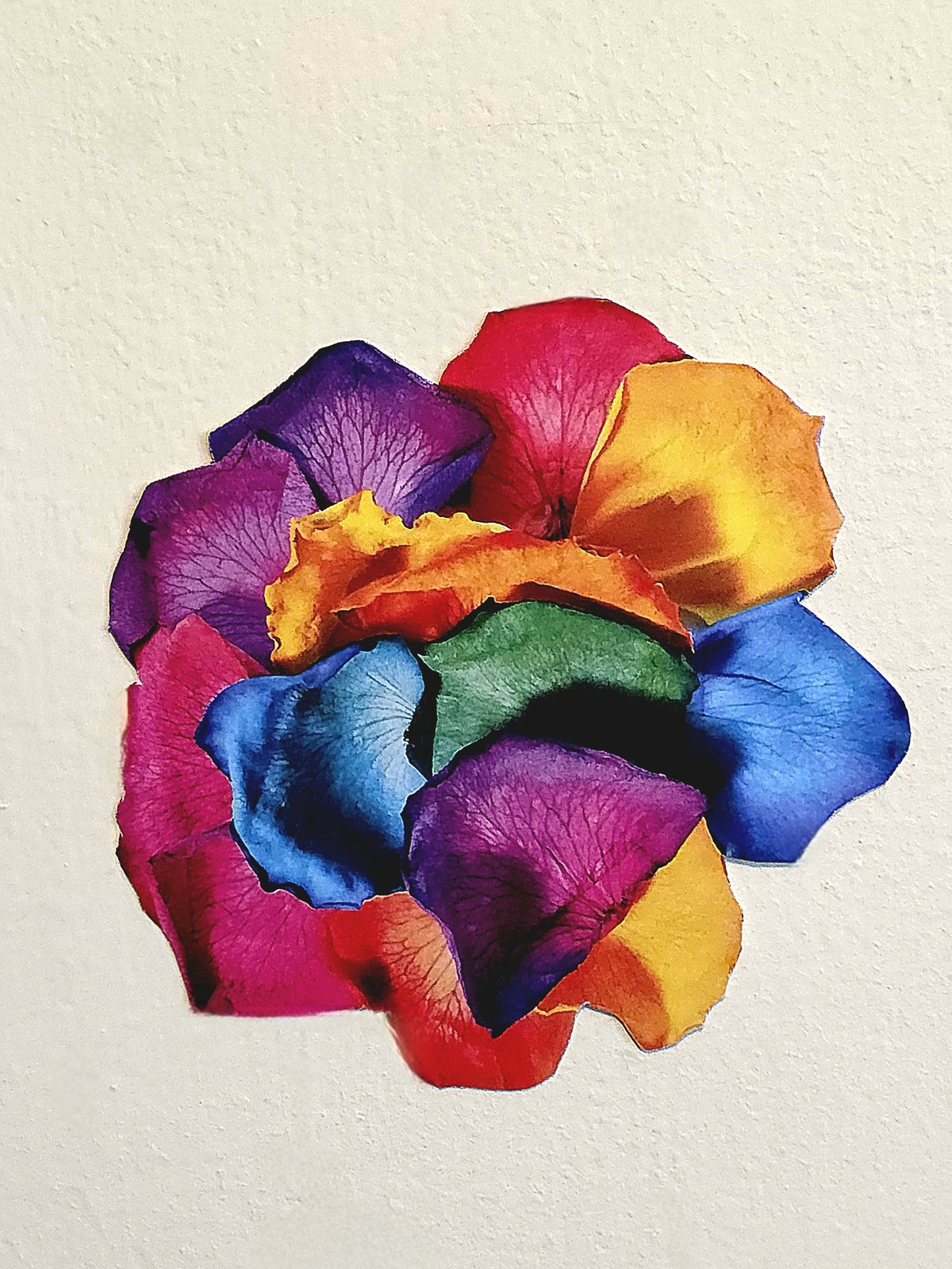 Petals Rearranged — Rose petals on fabric